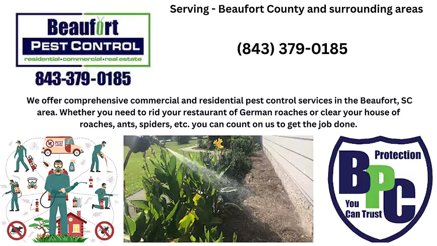 Beaufort Pest Control