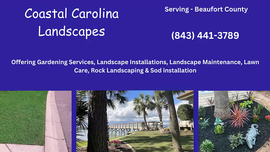 Coastal Carolina Landscapes