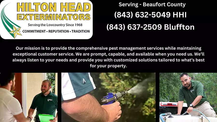 Hilton Head Exterminators