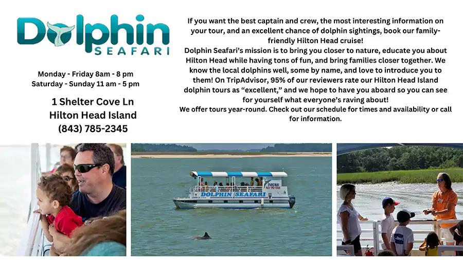 Dolphin Seafari