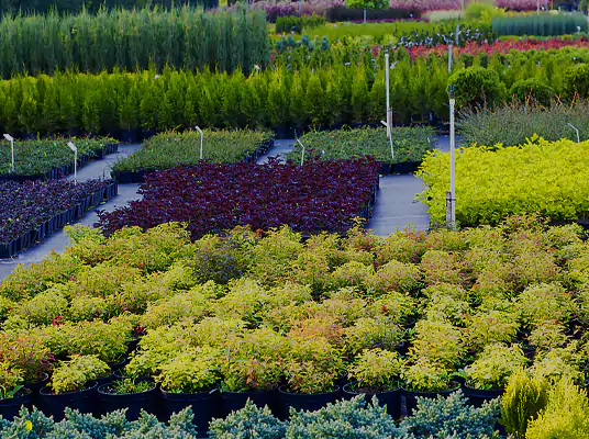 Landscape Supplies and Plant Nurseries